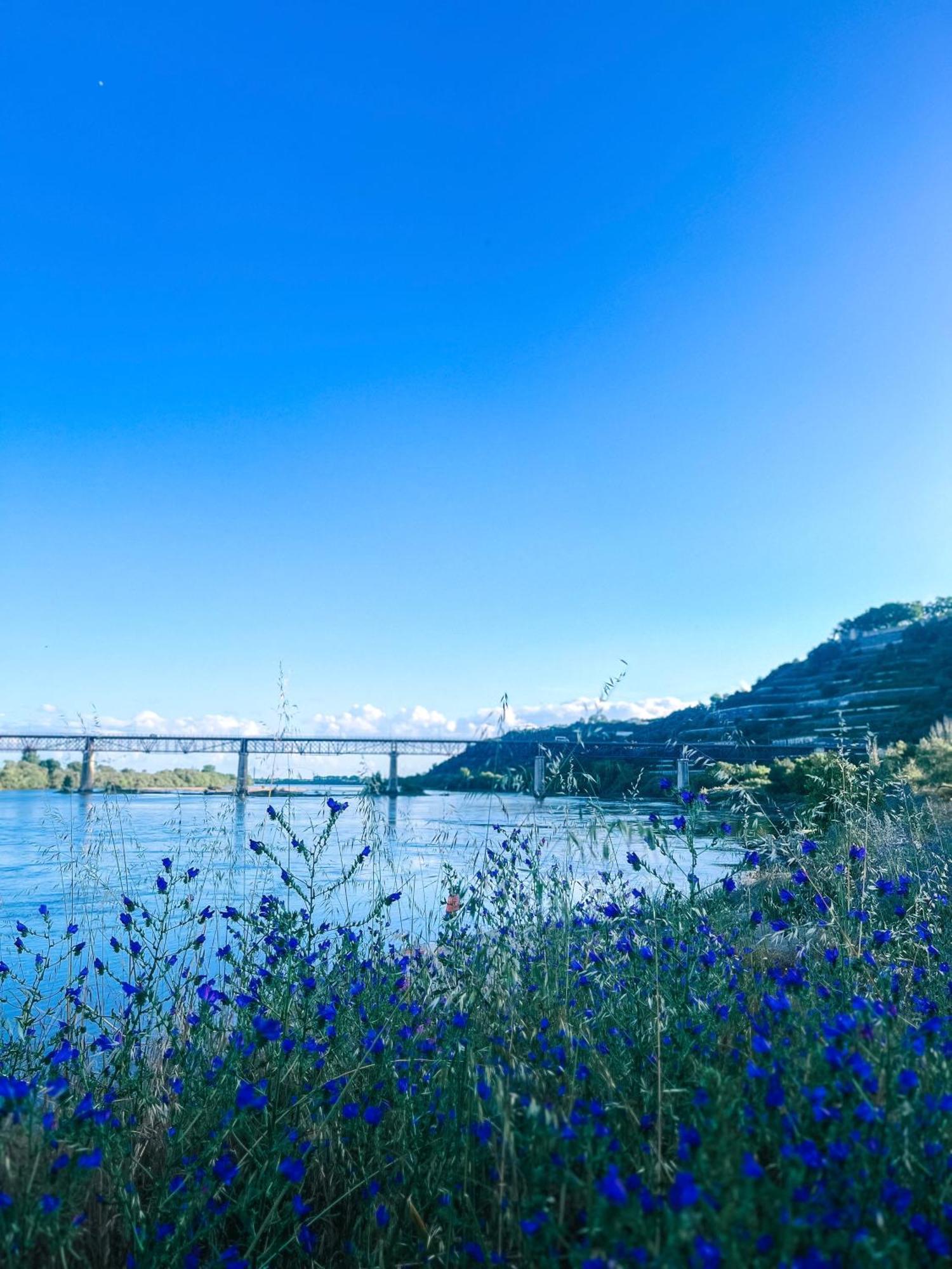 Chalet Santa Iria Βίλα Santarém Εξωτερικό φωτογραφία